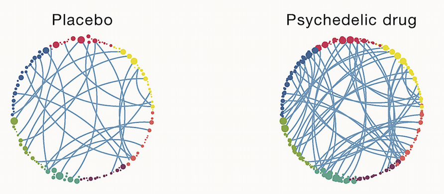 The brain connectivity on a placebo compared to on Psilocybin